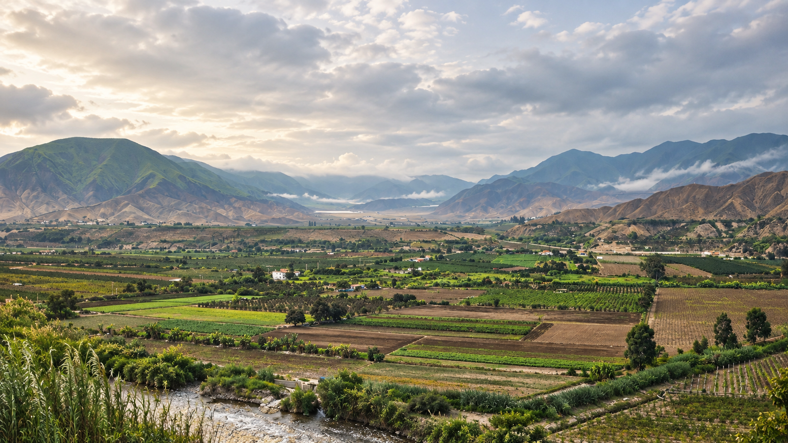 Valle de Mala, Cañete — viñedos de Navalé